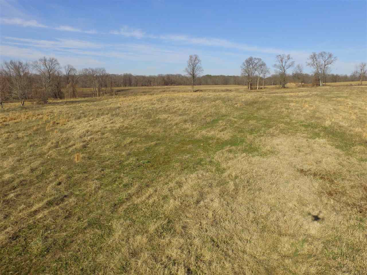 3443 Jeff Webb Road Ripley, TN 38063 - Photo 3 of 25