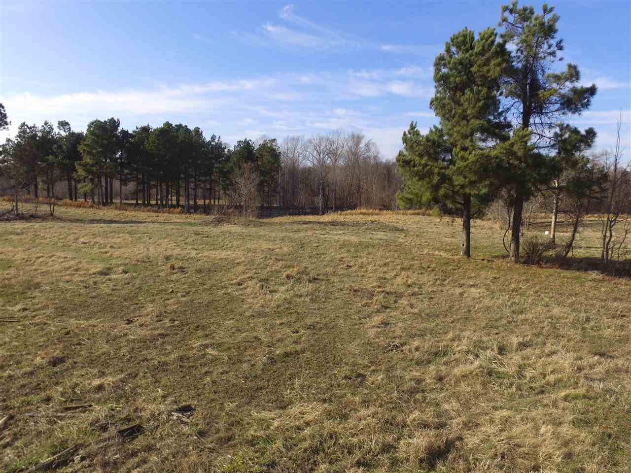 3443 Jeff Webb Road Ripley, TN 38063 - Photo 22 of 25