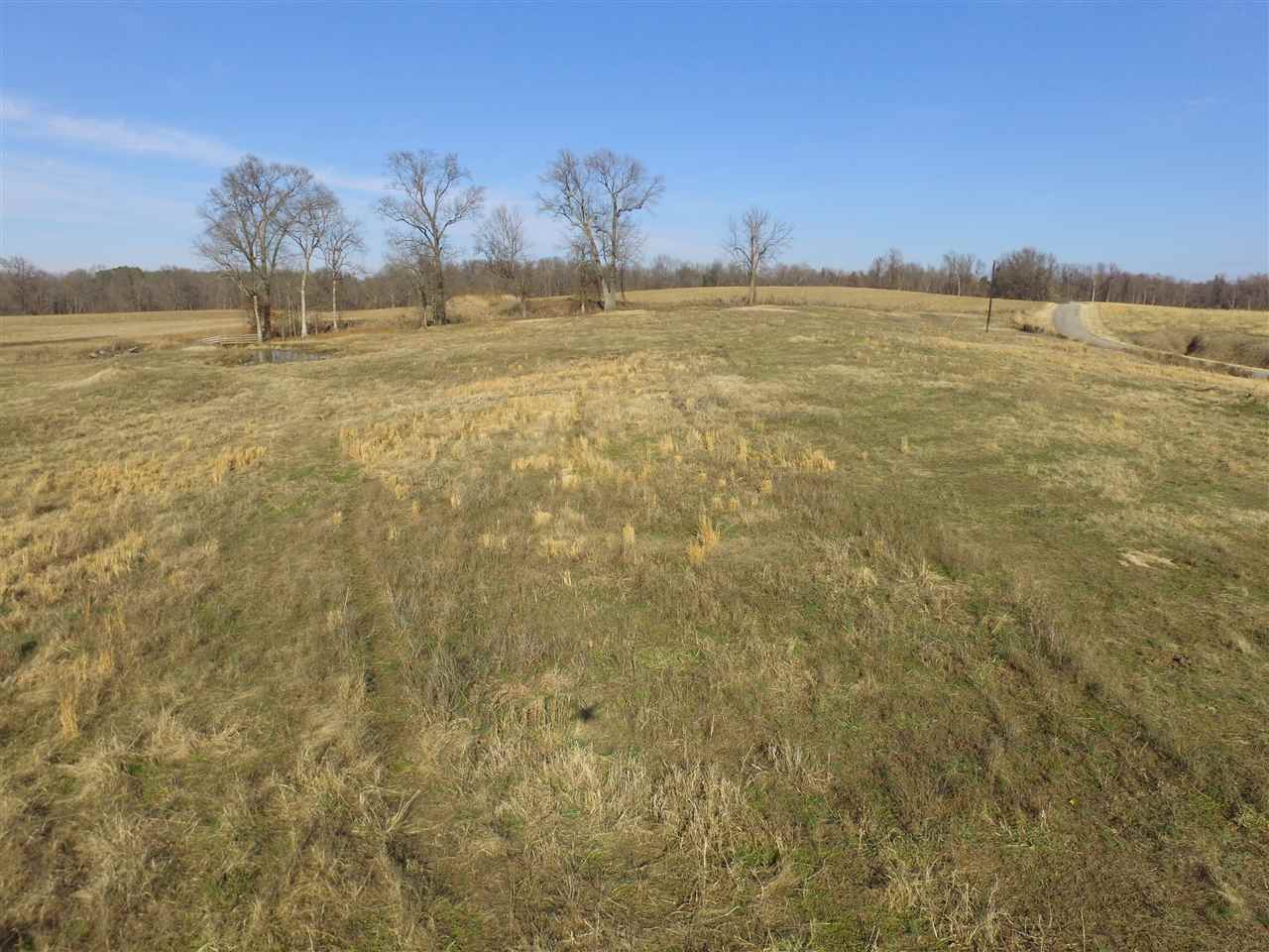 3443 Jeff Webb Road Ripley, TN 38063 - Photo 4 of 25