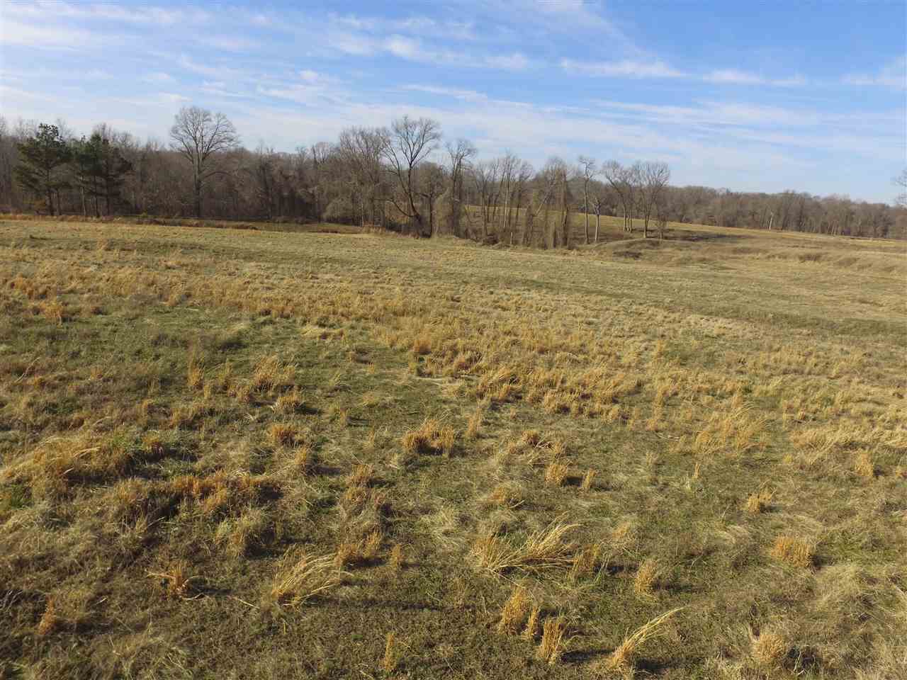 3443 Jeff Webb Road Ripley, TN 38063 - Photo 5 of 25