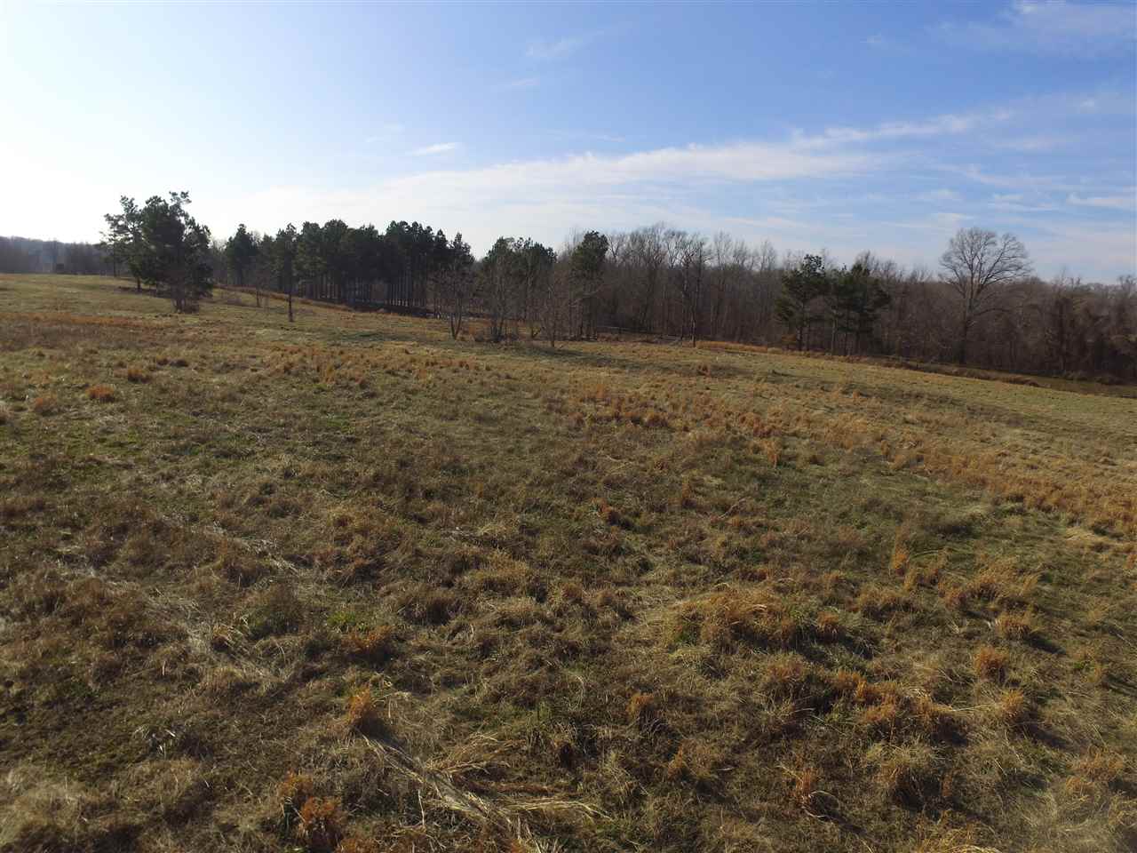 3443 Jeff Webb Road Ripley, TN 38063 - Photo 6 of 25