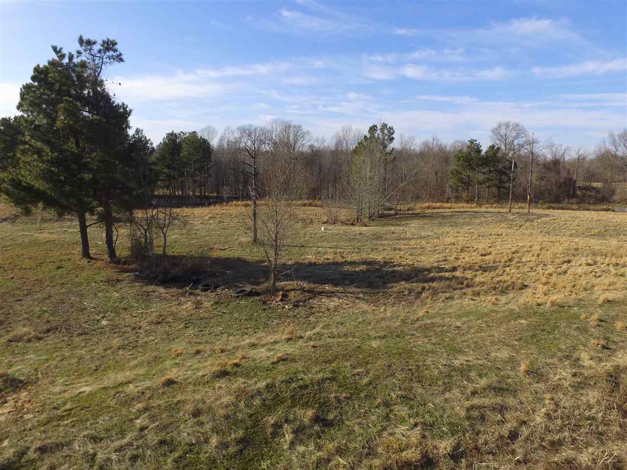3443 Jeff Webb Road Ripley, TN 38063 - Photo 8 of 25