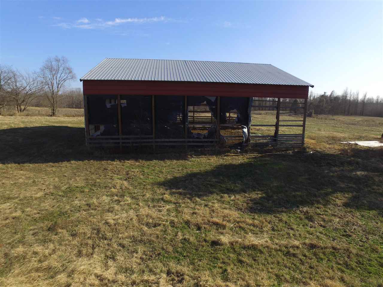 3443 Jeff Webb Road Ripley, TN 38063 - Photo 9 of 25