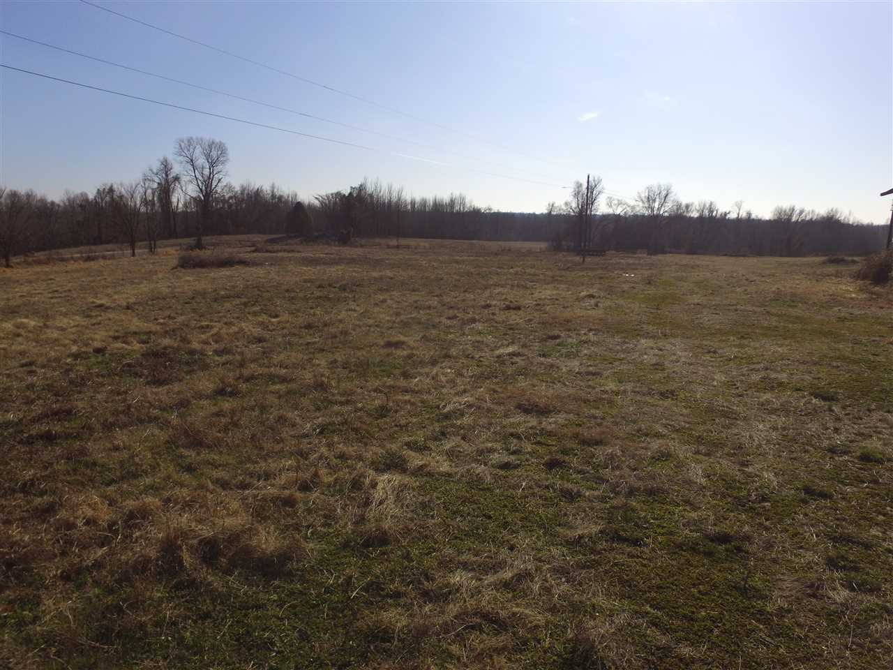 3443 Jeff Webb Road Ripley, TN 38063 - Photo 10 of 25