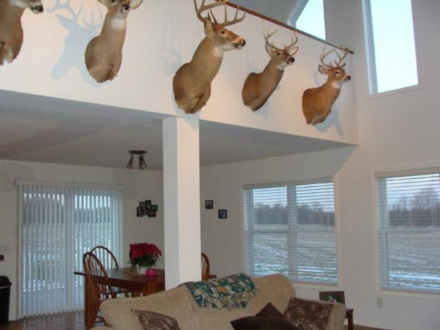 11325 Stoudt Road Muir, MI 48860 - Photo 11 of 14 Additional Photo