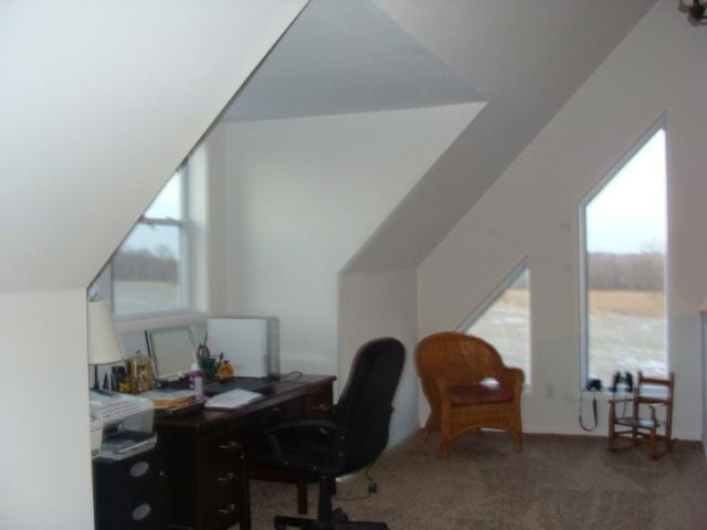 11325 Stoudt Road Muir, MI 48860 - Photo 7 of 14 Additional Photo