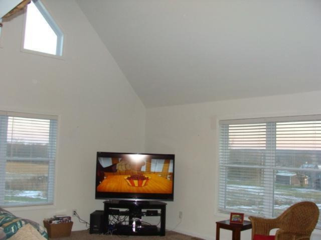 11325 Stoudt Road Muir, MI 48860 - Photo 8 of 14 Additional Photo