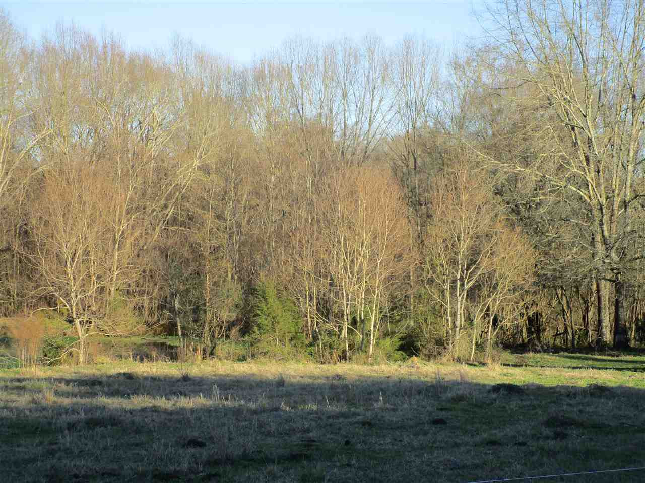 0 Old Agency Road Ridgeland, MS 39157 - Photo 1 of 10 Photo 1