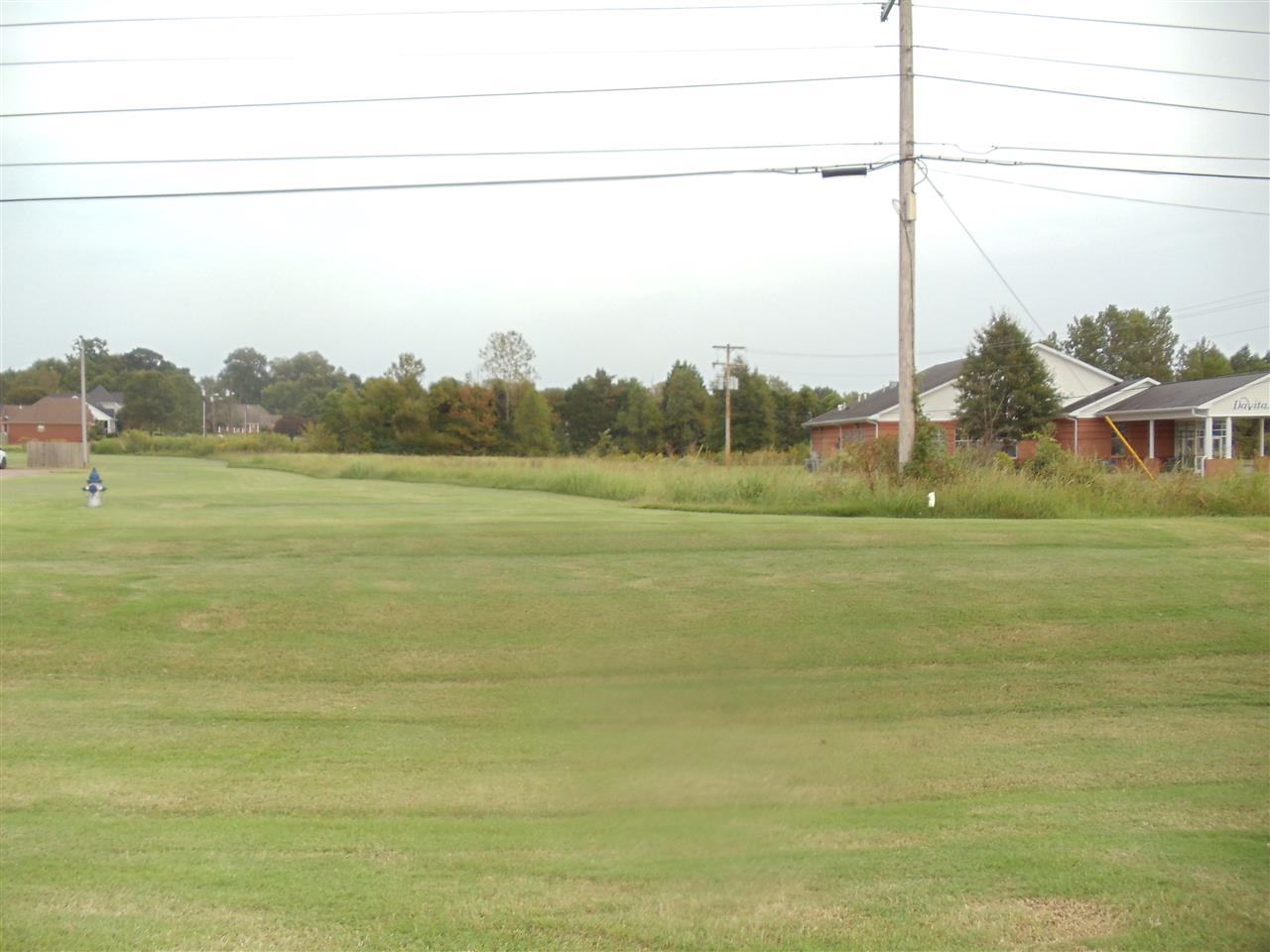 a view of a field with an ocean view