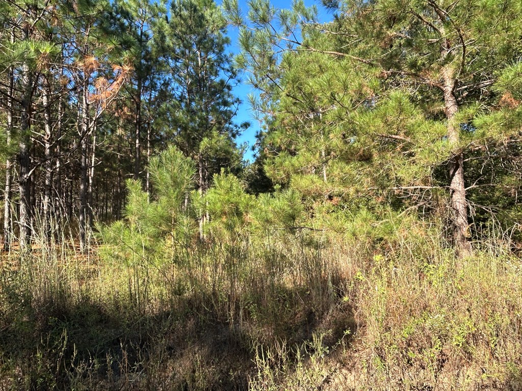 140/ Cty Road Headland, AL 36345 - Photo 18 of 33