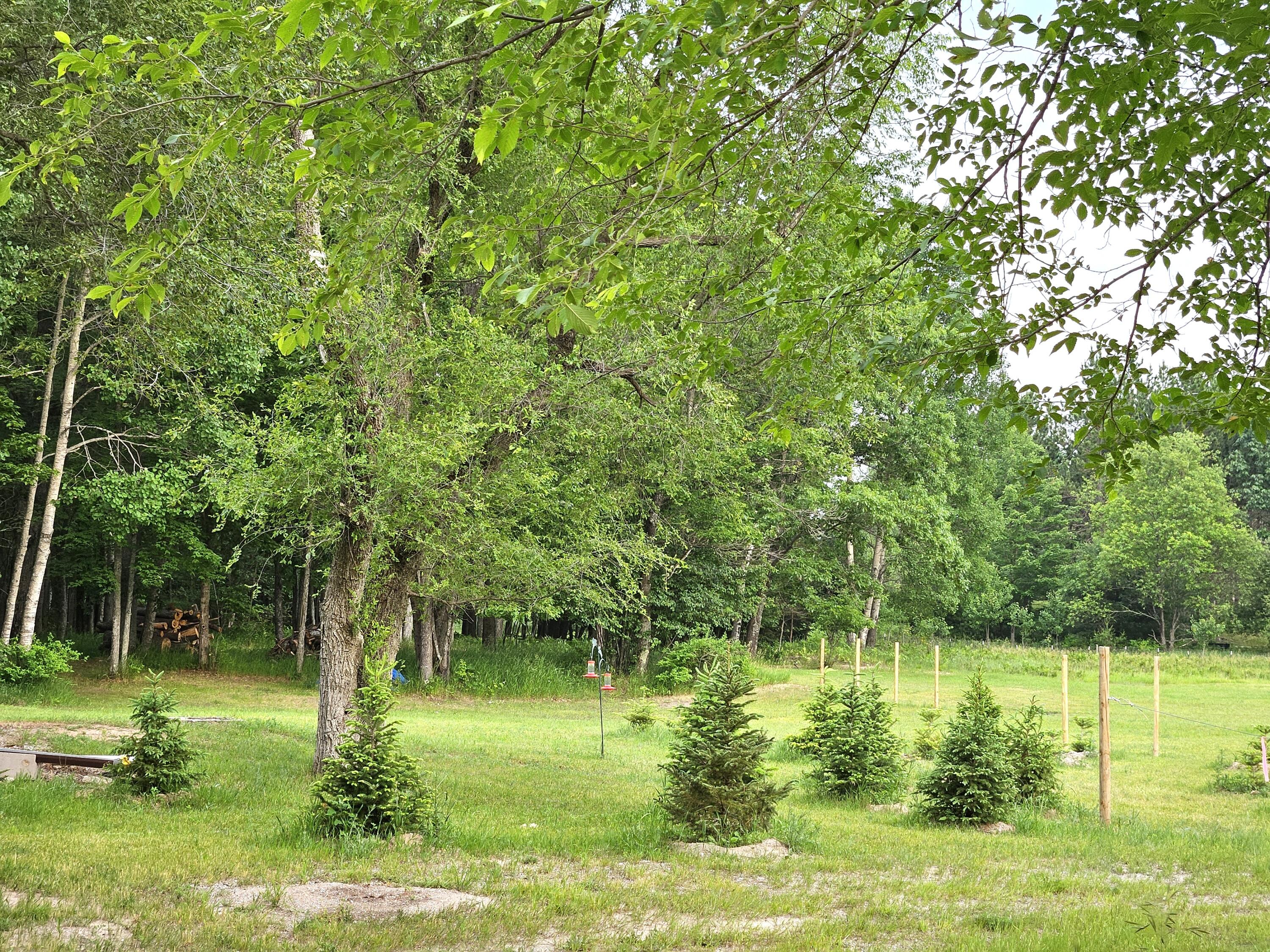4511 Dangler Road Onaway, MI 49765 - Photo 14 of 23 Gallery Image 14