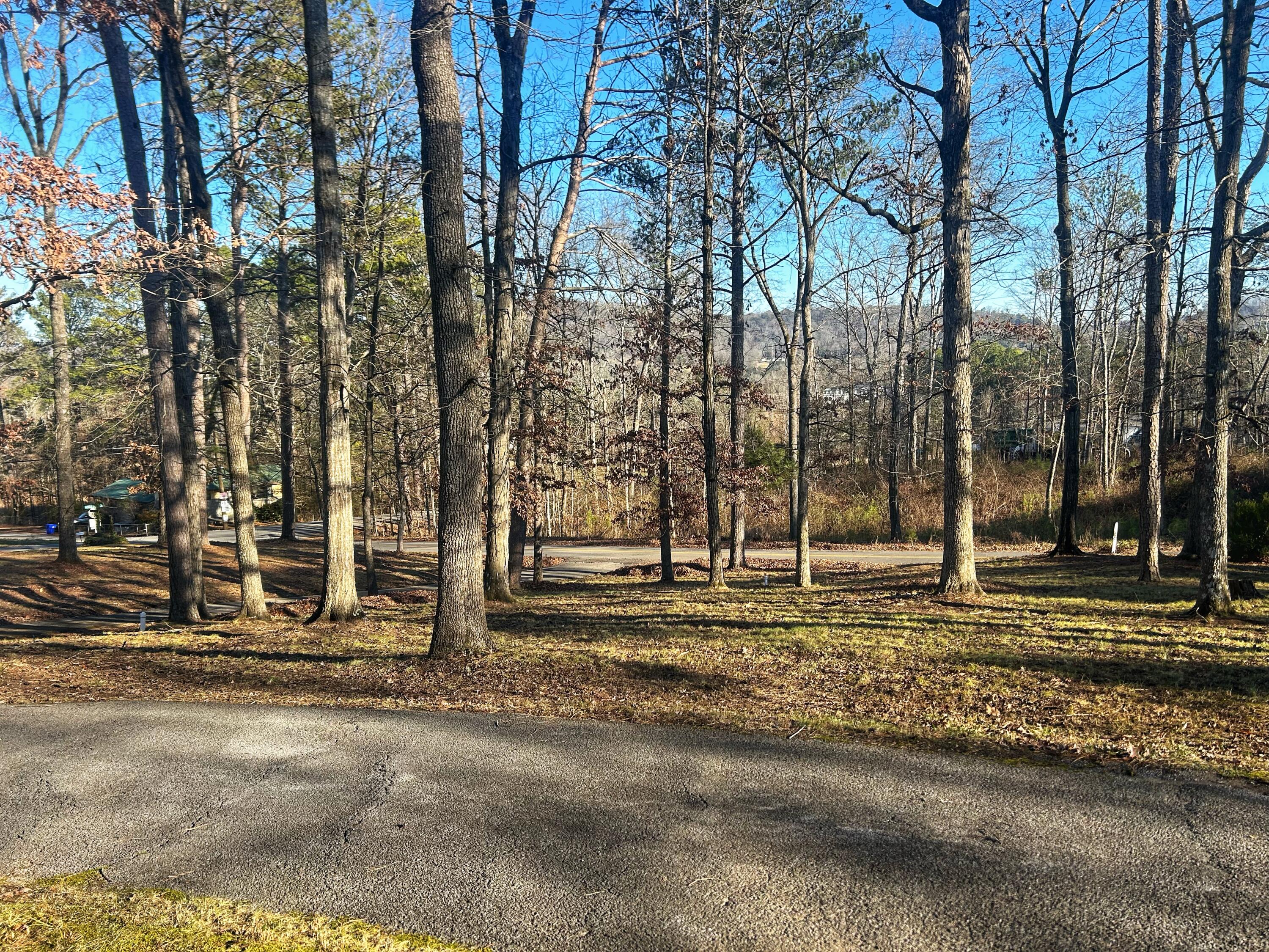 2510 Humphrey Bridge Road Southwest Cleveland, TN 37311 - Photo 25 of 28 LARGE FRONT YARD