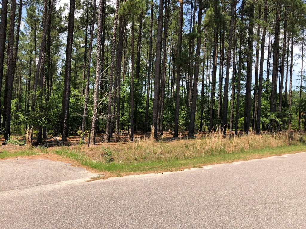 0 Peach Cider Road Batesburg, SC 29006 - Photo 3 of 4