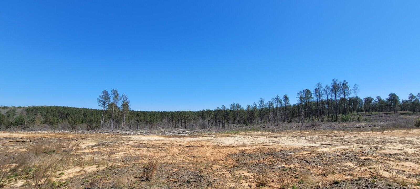 0 Sam Hodges Road Hodges, SC 29653 - Photo 4 of 10