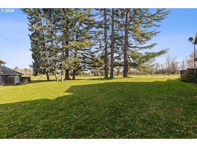 a view of yard with tree s