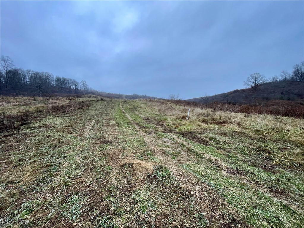 0 Endley Road Cambridge, OH 43725 - Photo 8 of 20 View of road featuring a view of rural / pastoral area