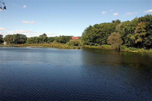 115 Common Street Dedham, MA 02026 - Photo 4 of 15