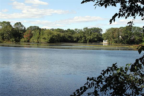 115 Common Street Dedham, MA 02026 - Photo 5 of 15