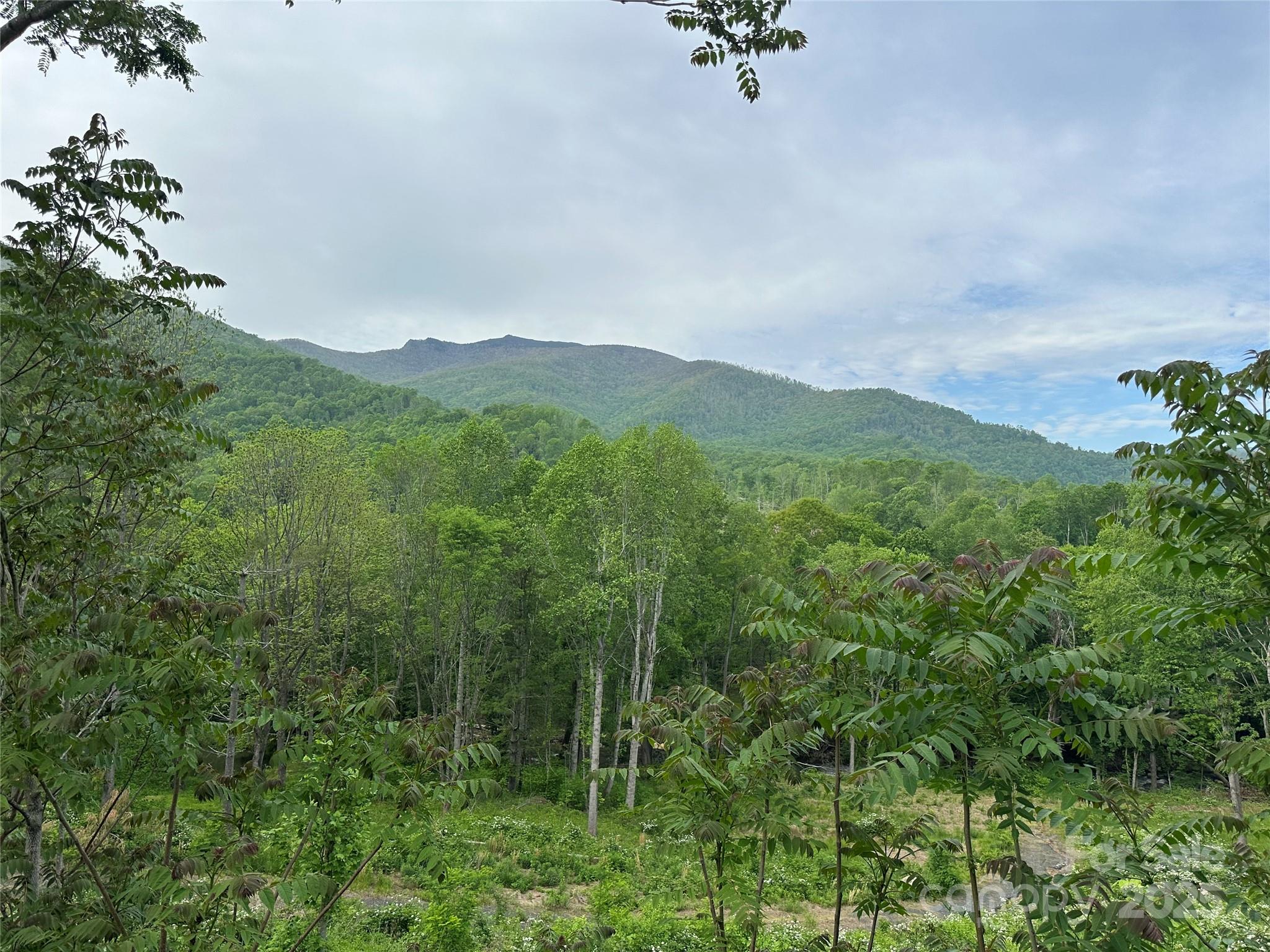 0 Pumpkin Patch Road Bakersville, NC 28705 - Photo 14 of 38 a view of a city with lush green forest
