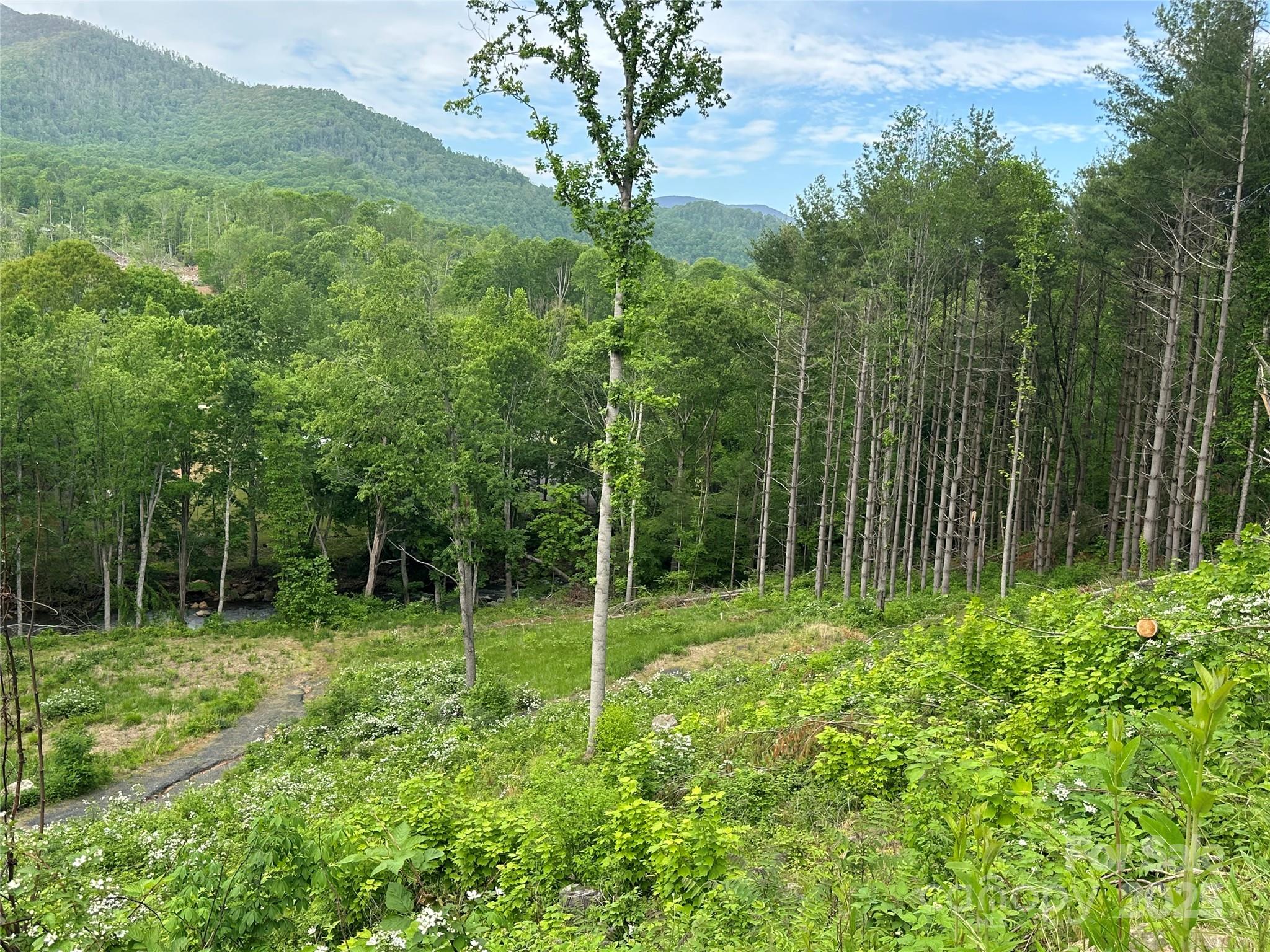 0 Pumpkin Patch Road Bakersville, NC 28705 - Photo 16 of 38 a view of green field with a tree