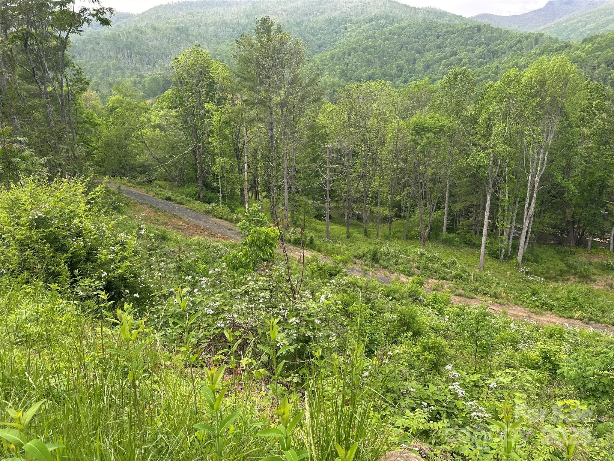 0 Pumpkin Patch Road Bakersville, NC 28705 - Photo 18 of 38 a view of forest