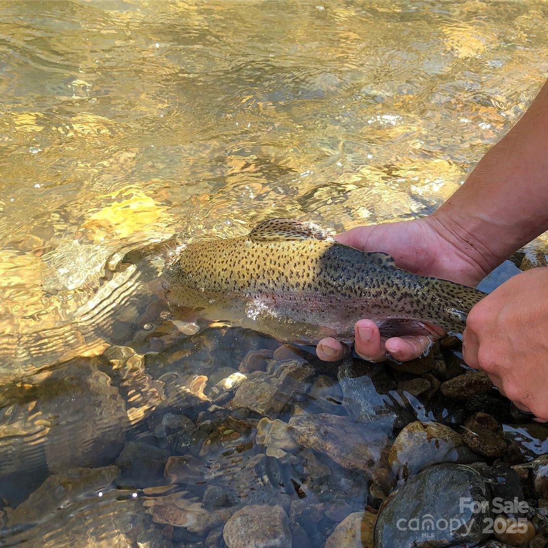 0 Pumpkin Patch Road Bakersville, NC 28705 - Photo 2 of 38 a view of a backyard of a house with a yard
