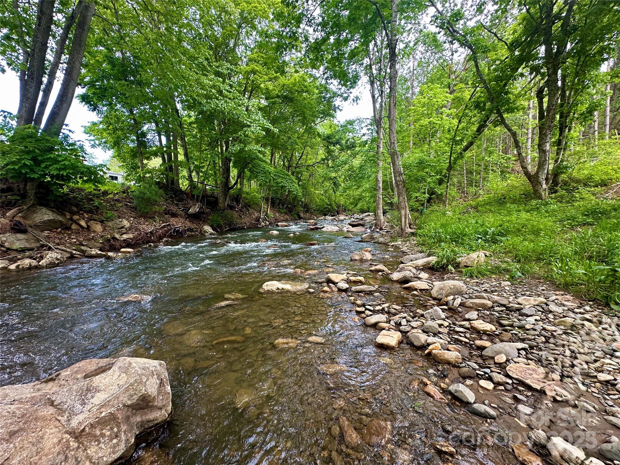 0 Pumpkin Patch Road Bakersville, NC 28705 - Photo 24 of 38 a backyard of a house with lots of green space