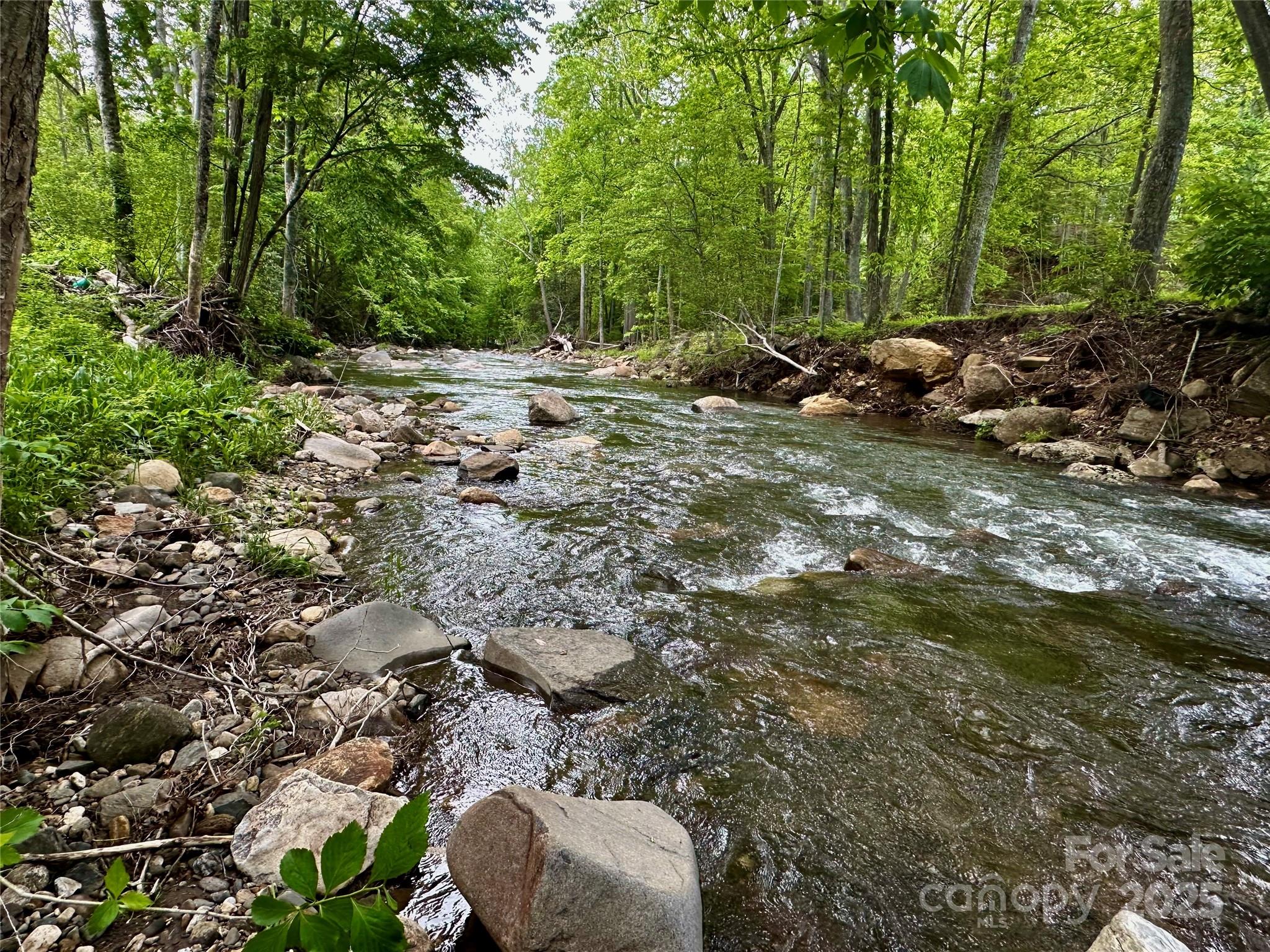 0 Pumpkin Patch Road Bakersville, NC 28705 - Photo 27 of 38 a view of a forest with lawn chairs