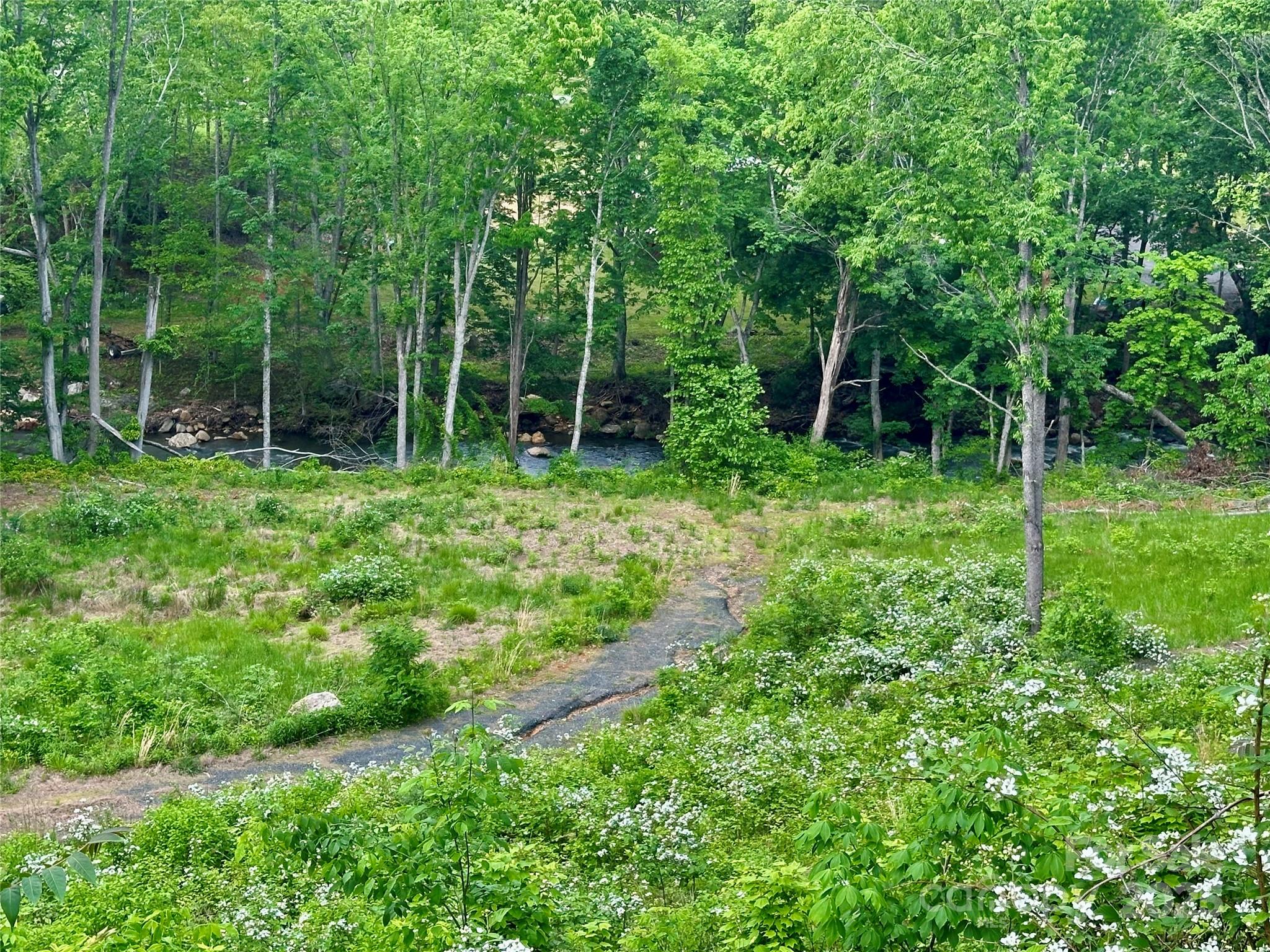 0 Pumpkin Patch Road Bakersville, NC 28705 - Photo 28 of 38