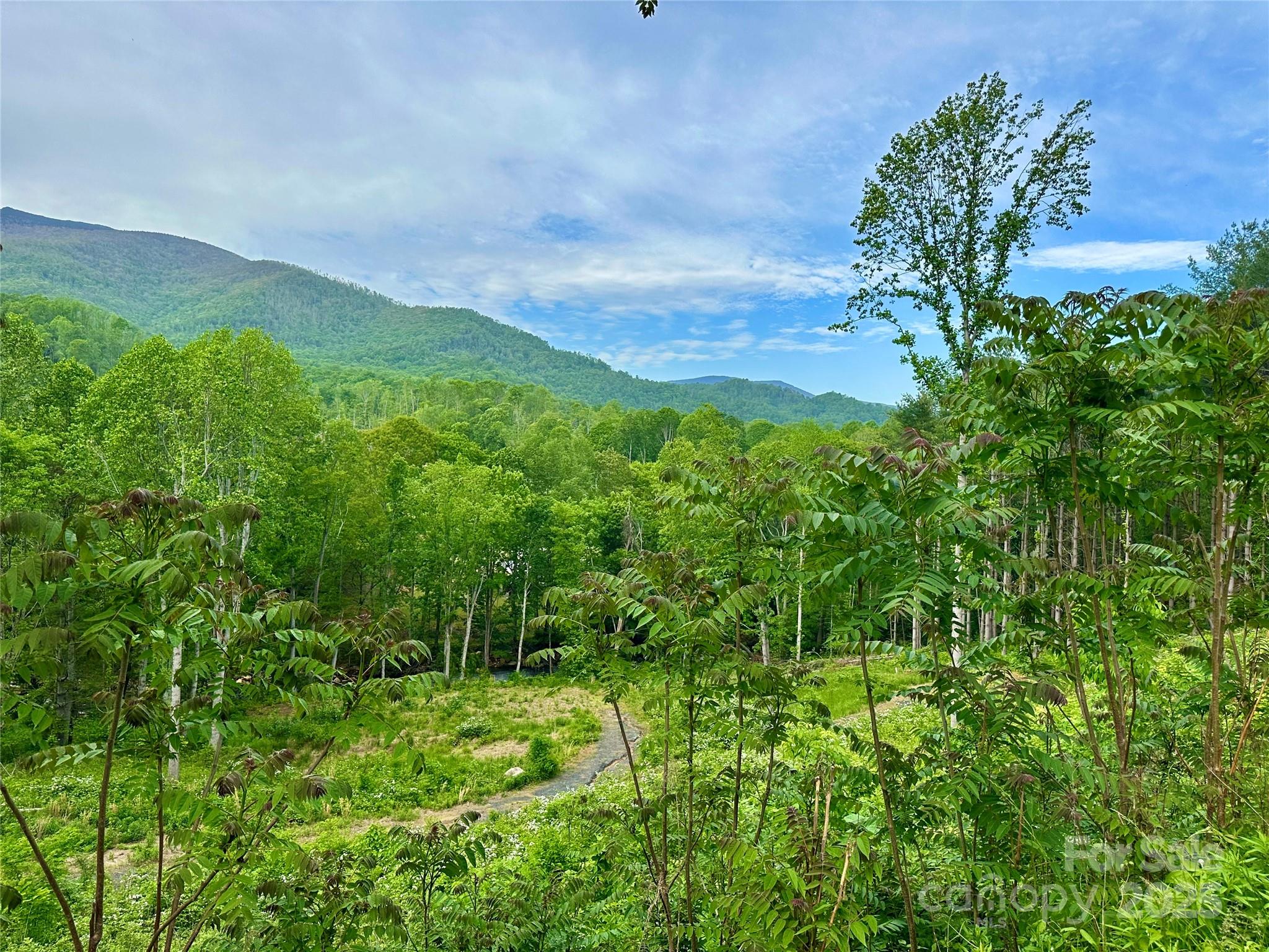 0 Pumpkin Patch Road Bakersville, NC 28705 - Photo 30 of 38 a view of a lush green outdoor space with a lake view