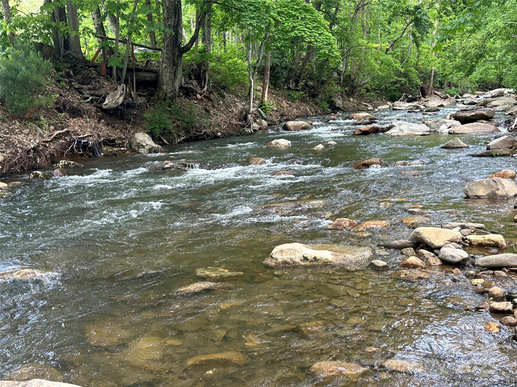 0 Pumpkin Patch Road Bakersville, NC 28705 - Photo 3 of 38 a view of a forest with some trees