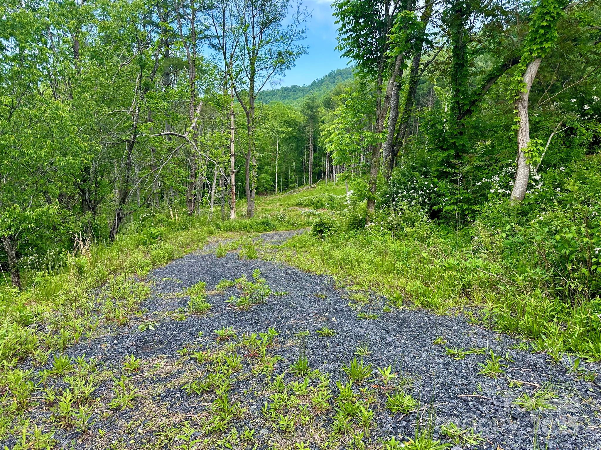 0 Pumpkin Patch Road Bakersville, NC 28705 - Photo 33 of 38 a view of yard
