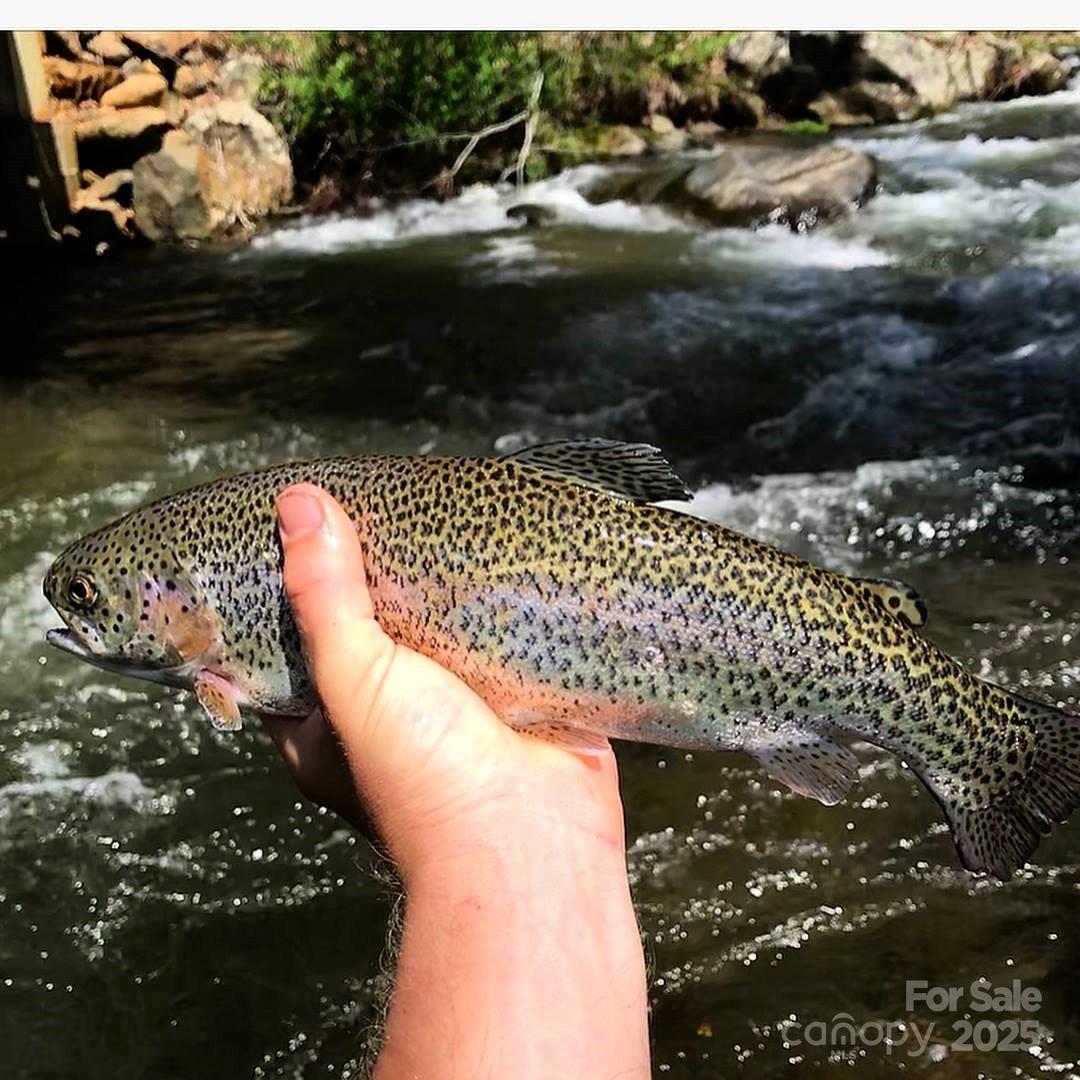 0 Pumpkin Patch Road Bakersville, NC 28705 - Photo 36 of 38