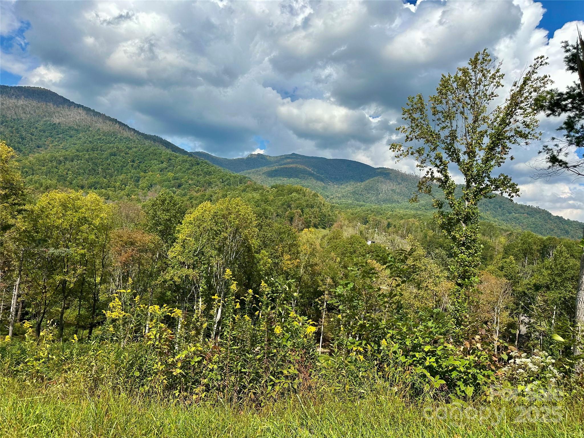 0 Pumpkin Patch Road Bakersville, NC 28705 - Photo 4 of 38