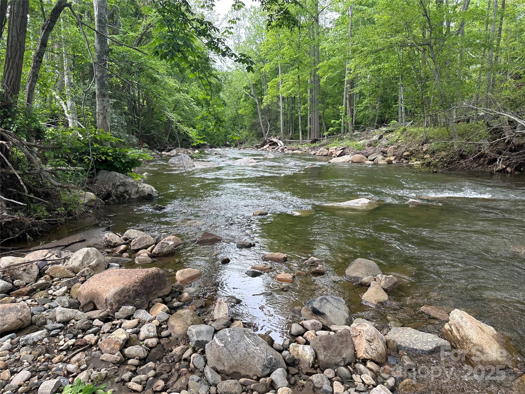 0 Pumpkin Patch Road Bakersville, NC 28705 - Photo 7 of 38 a backyard of a house with lots of green space