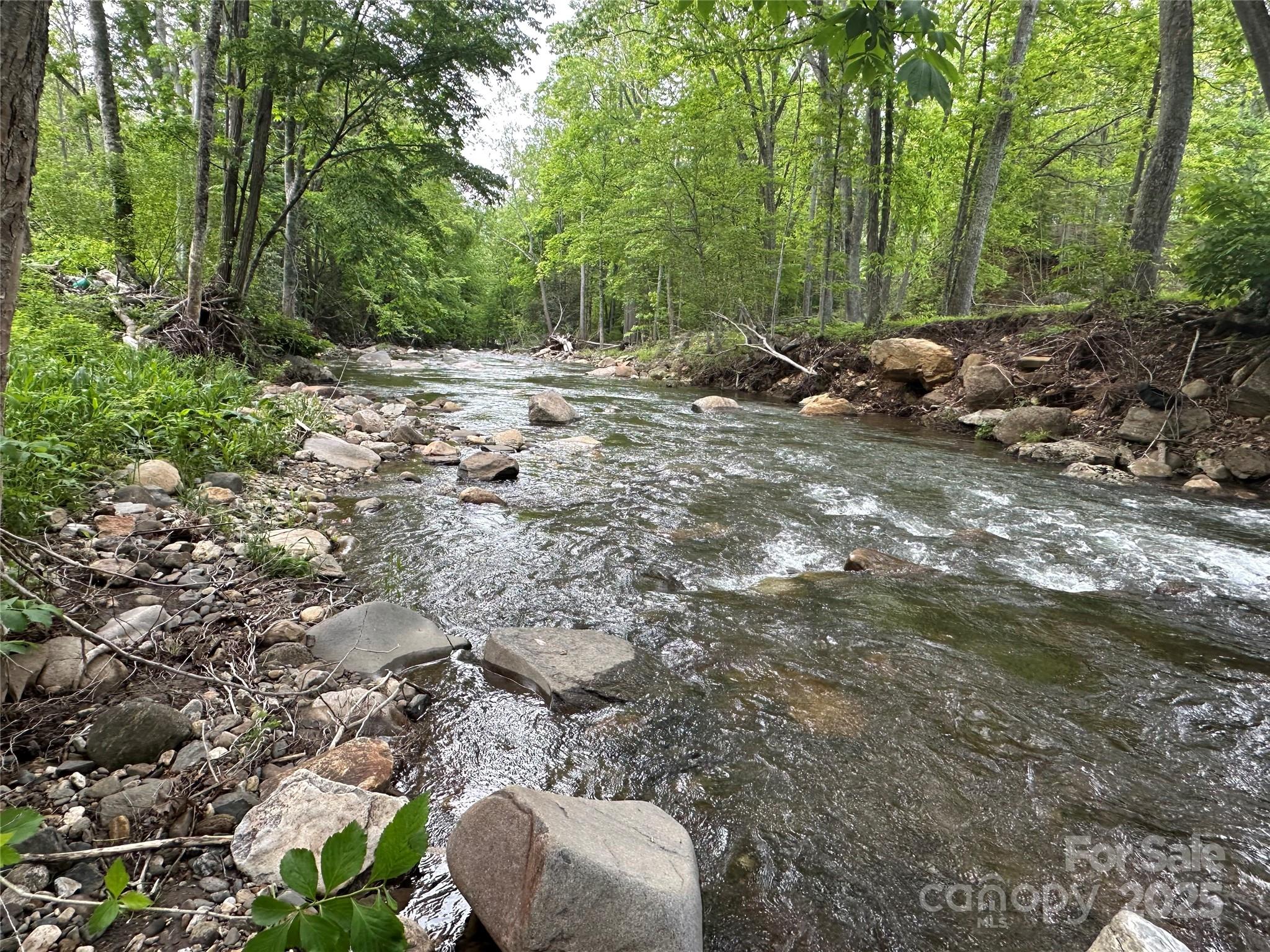0 Pumpkin Patch Road Bakersville, NC 28705 - Photo 9 of 38 a view of a forest with trees