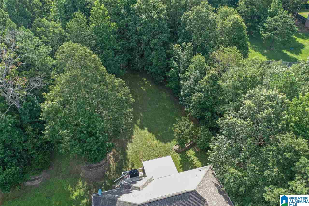 1013 Baron Lane Chelsea, AL 35043 - Photo 35 of 44