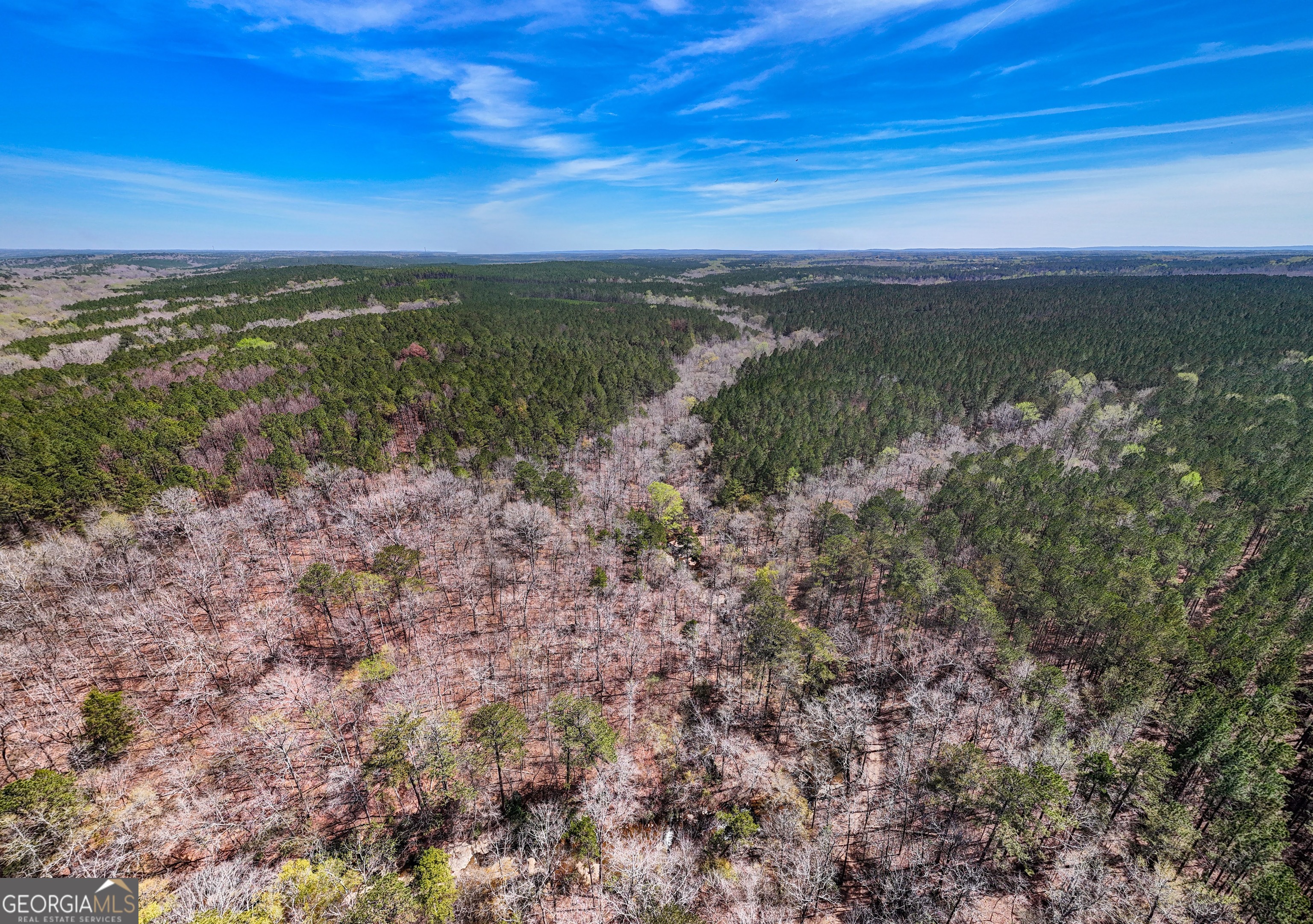 0 Shake Rag Road, Unit TRACT 1 Pine Mountain, GA 31822 - Photo 1 of 1 Gallery Image 1