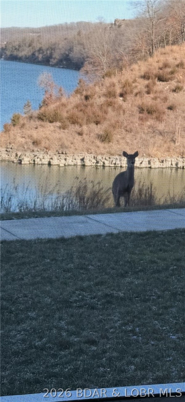 100 Trinity Pointe Drive, Unit 1N Camdenton, MO 65020 - Photo 58 of 60