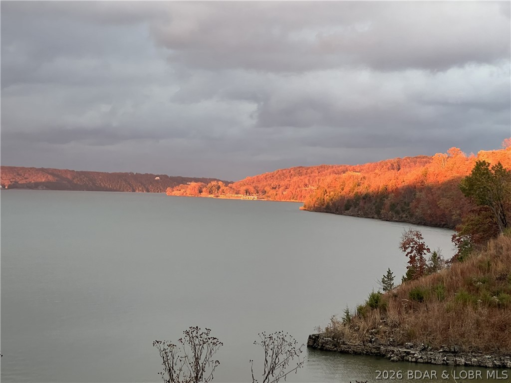 100 Trinity Pointe Drive, Unit 1N Camdenton, MO 65020 - Photo 60 of 60