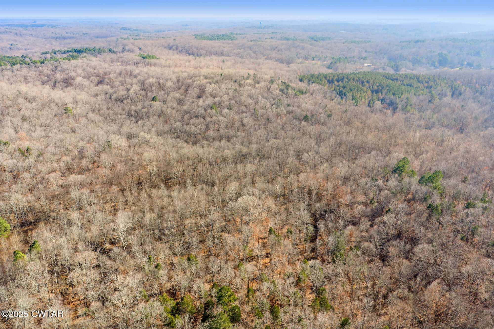 0 Holladay Road Parsons, TN 38363 - Photo 12 of 16 a view of a field