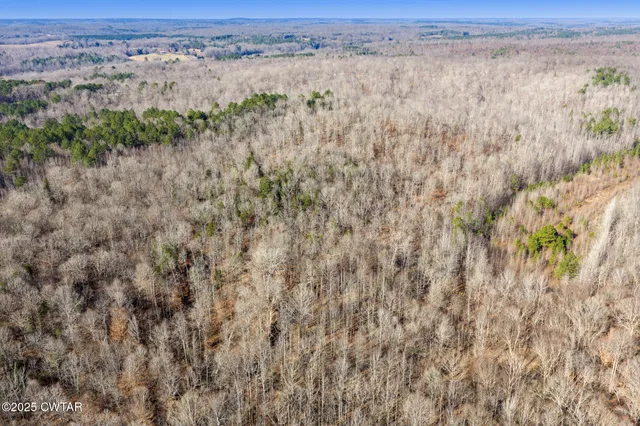 $450,000 | 0 Holladay Road, Parsons, TN 38363