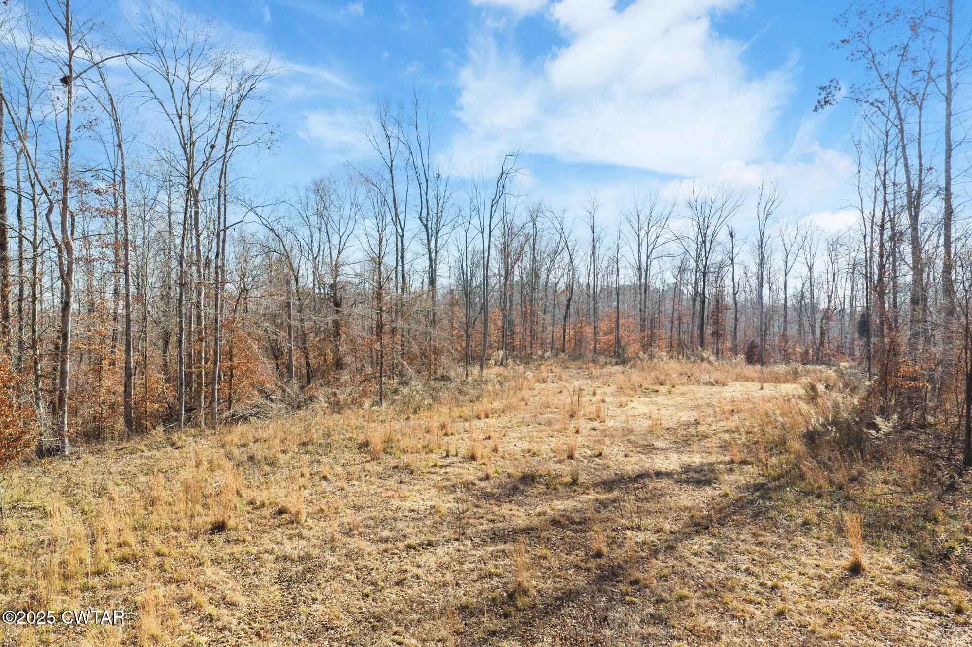 0 Holladay Road Parsons, TN 38363 - Photo 3 of 16 a view of wooden fence