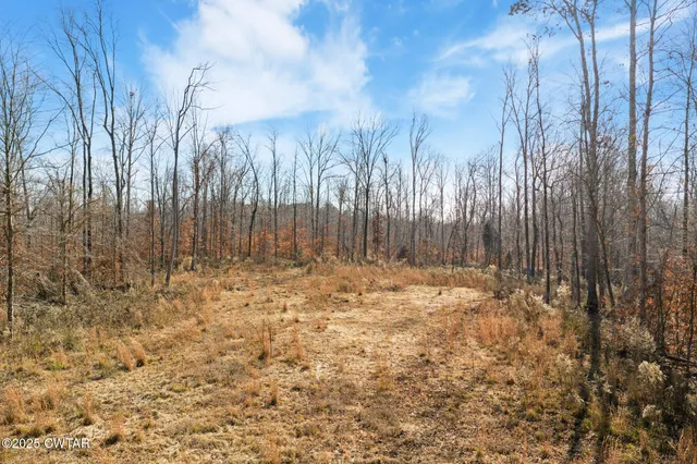 a view of a dry yard