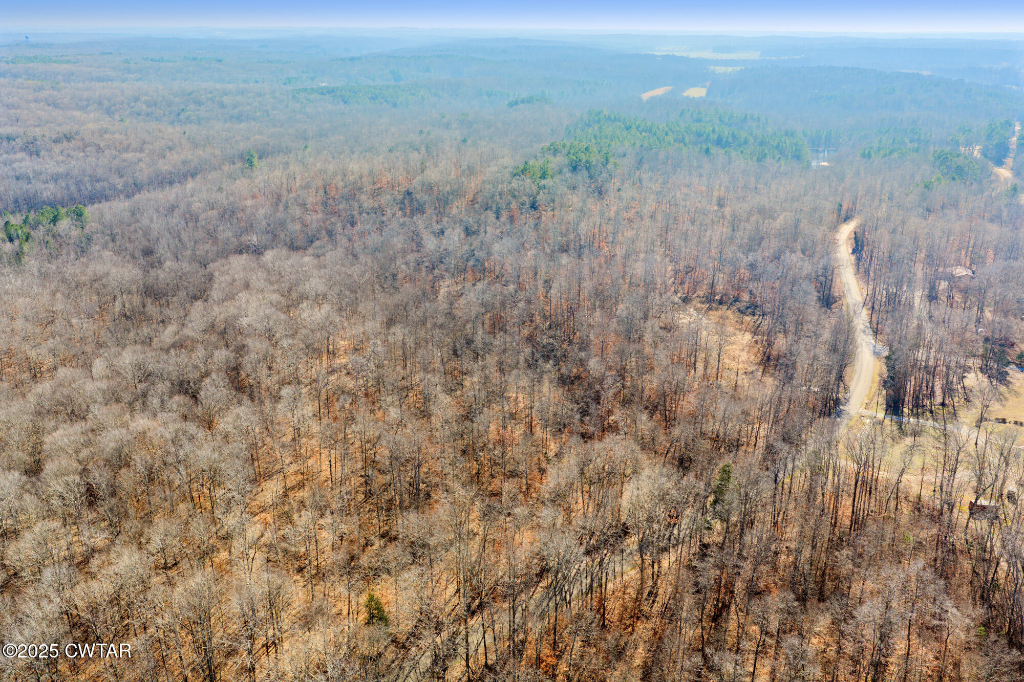 0 Holladay Road Parsons, TN 38363 - Photo 5 of 16 a view of a dry yard