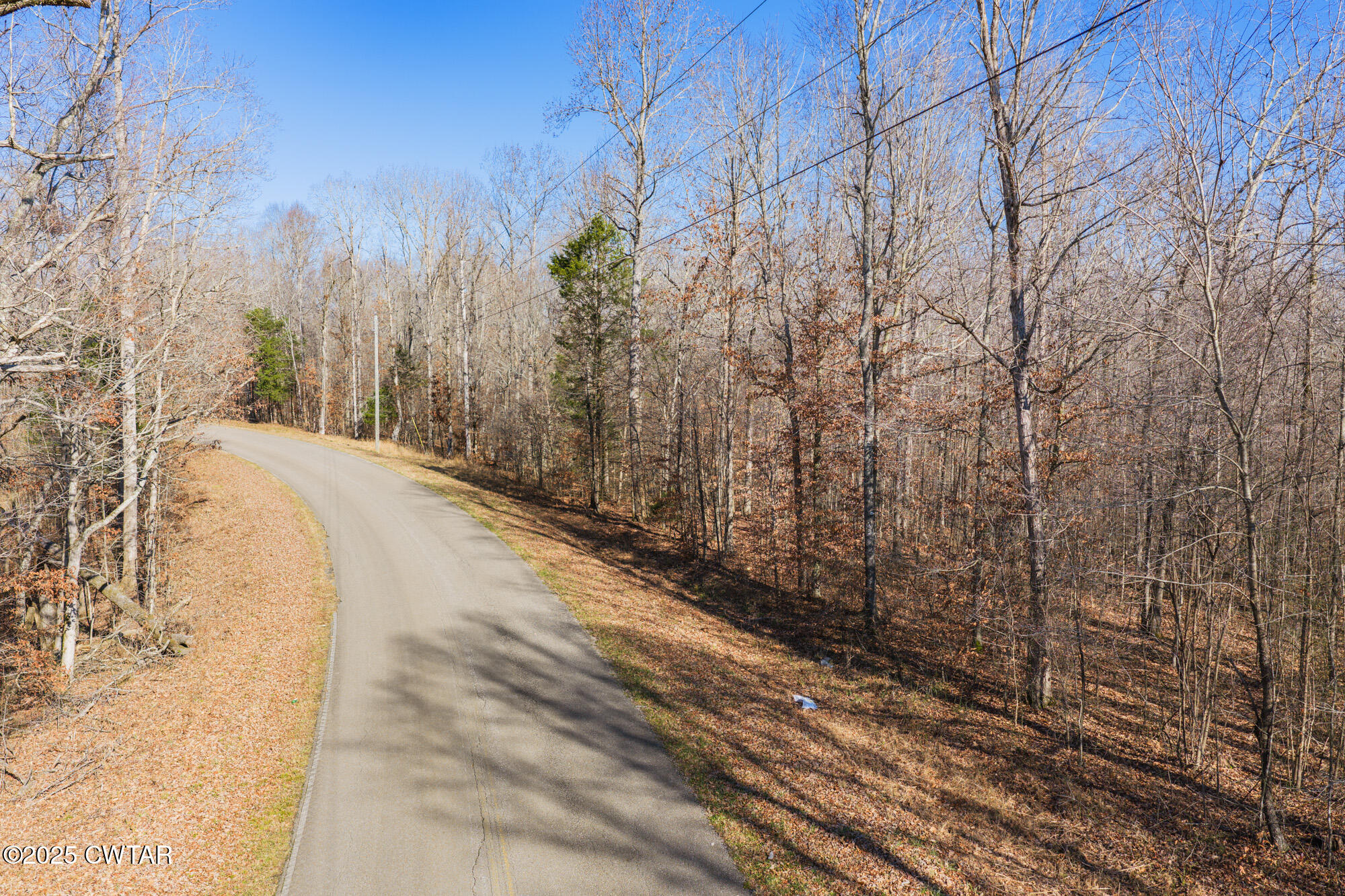 0 Holladay Road Parsons, TN 38363 - Photo 6 of 16 a view of a backyard of the house