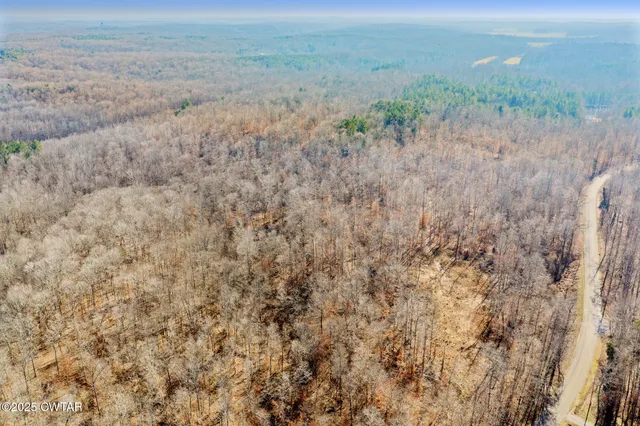 a view of a dry yard with trees