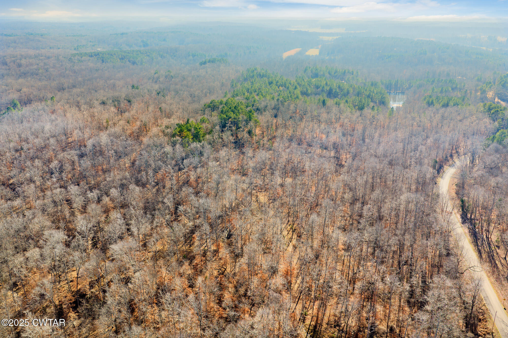 0 Holladay Road Parsons, TN 38363 - Photo 8 of 16 a view of a dry yard with trees
