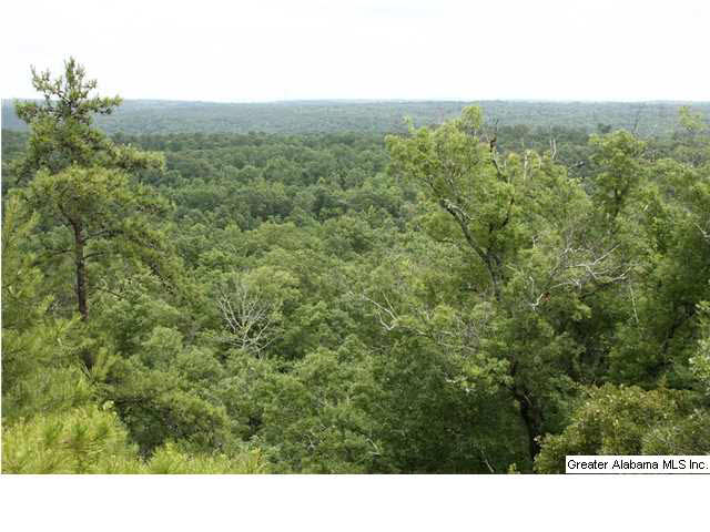 Cook Springs Road, Unit 320 Pell City, AL 35125 - Photo 23 of 24 Gallery Image 23