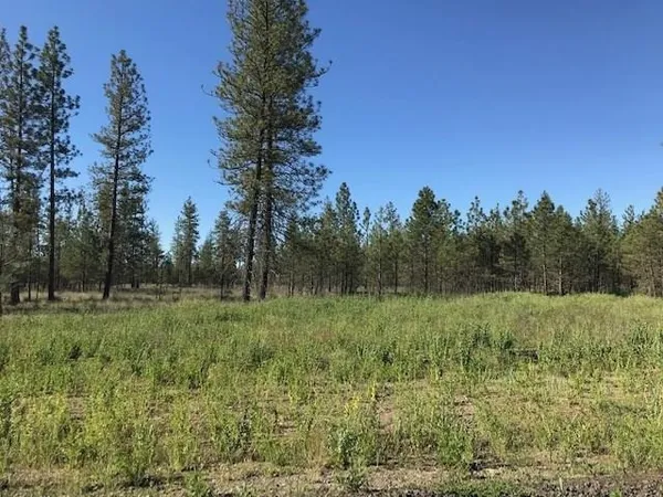 $118,995 | 5742 J Corkscrew Canyon Road, Tumtum, WA 99034